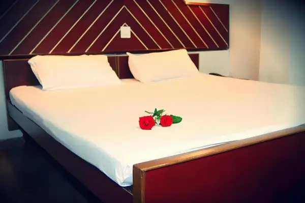Hotel Mangal 7