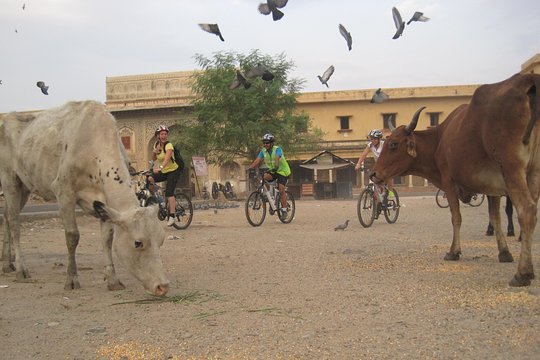 Tour image 3