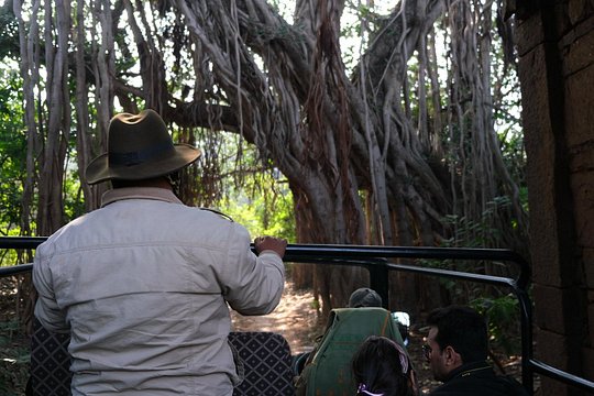 Tour image 6